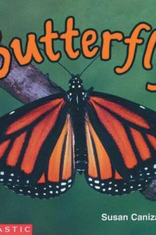 Cover of Butterfly