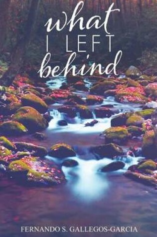 Cover of What I Left Behind
