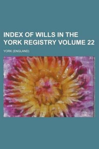 Cover of Index of Wills in the York Registry Volume 22