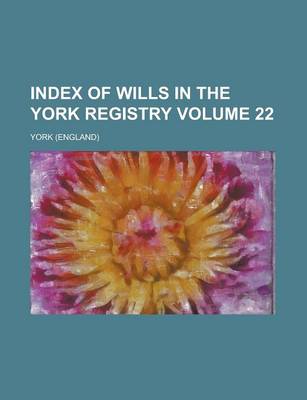 Book cover for Index of Wills in the York Registry Volume 22