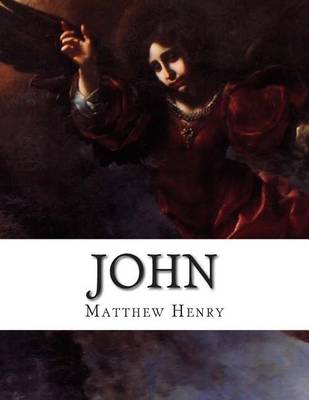 Book cover for John