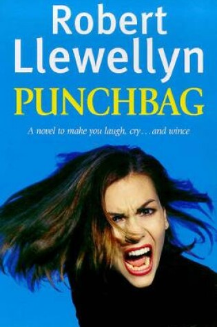 Cover of Punchbag