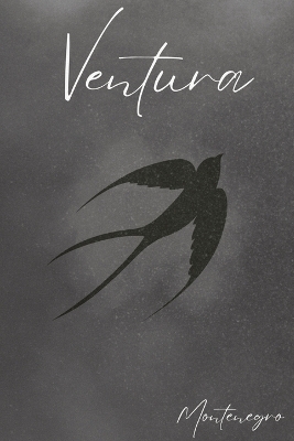 Book cover for Ventura