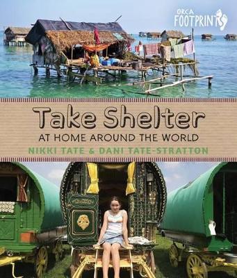 Book cover for Take Shelter