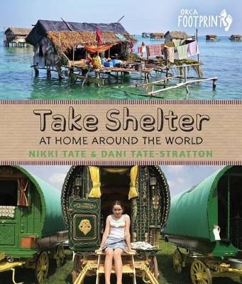 Cover of Take Shelter