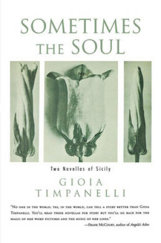 Cover of Sometimes the Soul