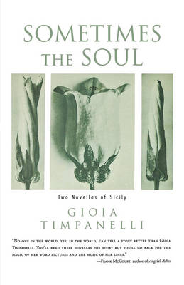 Book cover for Sometimes the Soul