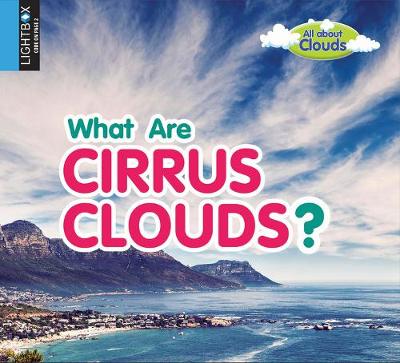 Book cover for What Are Cirrus Clouds?