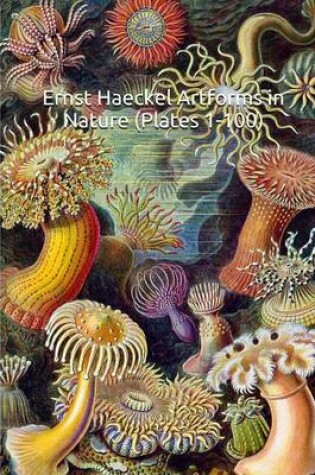 Cover of Ernst Haeckel Artforms in Nature (Plates 1-100)