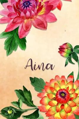 Book cover for Aina