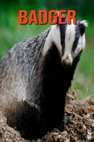 Cover of Badger