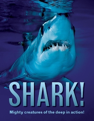 Book cover for Shark!