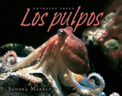 Book cover for Los Pulpos (Octopuses)