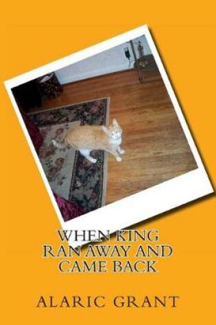 Cover of When King Ran Away and Came Back