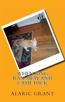 Book cover for When King Ran Away and Came Back