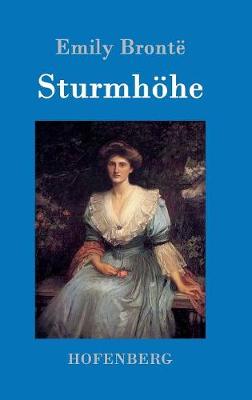 Book cover for Sturmhöhe