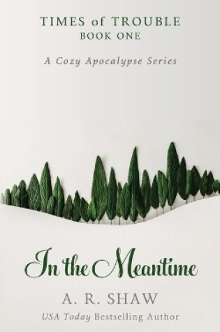 Cover of In the Meantime