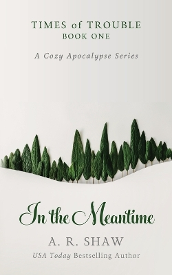 Book cover for In the Meantime