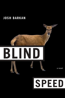 Book cover for Blind Speed