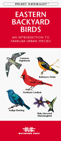 Book cover for Backyard Birds of Eastern North America