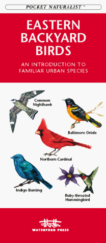 Cover of Backyard Birds of Eastern North America