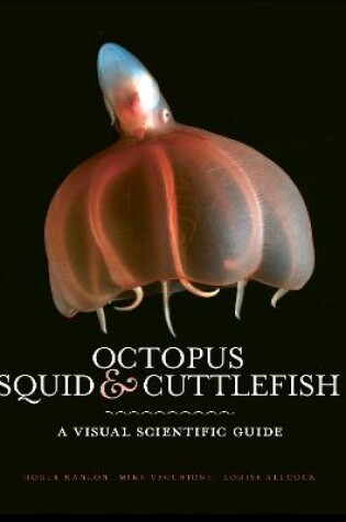 Cover of Octopus, Squid & Cuttlefish