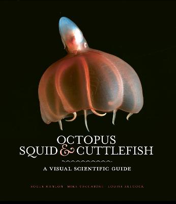 Book cover for Octopus, Squid & Cuttlefish
