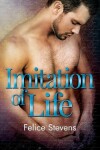 Book cover for Imitation of Life