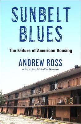 Book cover for Sunbelt Blues