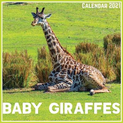 Book cover for Baby Giraffes Calendar 2021