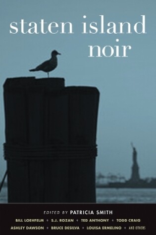 Cover of Staten Island Noir