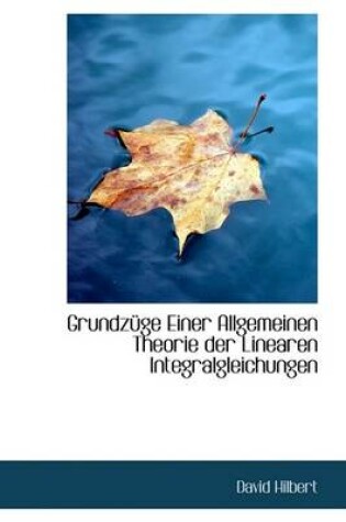 Cover of Grundzuge Einer Allgemeinen Theorie Der Linearen Integralgleichungen