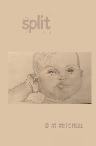 Cover of Split !