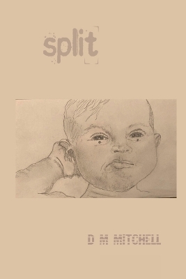 Book cover for Split !