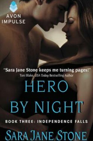 Cover of Hero by Night