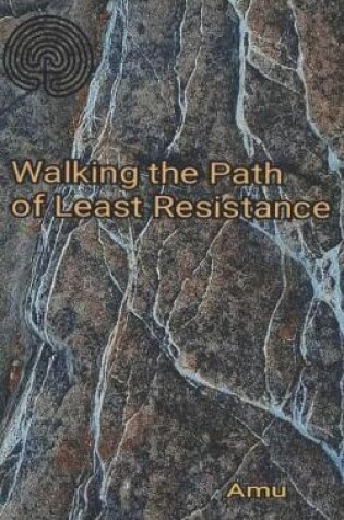 Cover of Walking the Path of Least Resistance