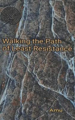 Book cover for Walking the Path of Least Resistance