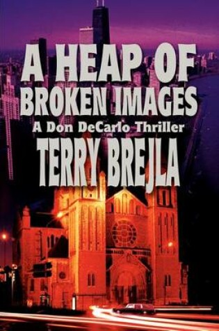 Cover of A Heap of Broken Images