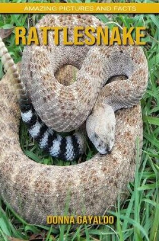 Cover of Rattlesnake