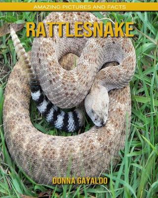 Book cover for Rattlesnake