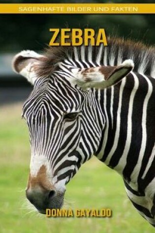 Cover of Zebra