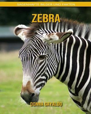 Book cover for Zebra