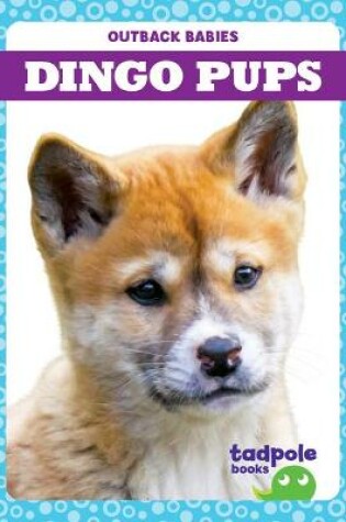 Cover of Dingo Pups