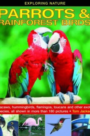 Cover of Exploring Nature: Parrots & Rainforest Birds