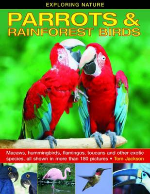 Book cover for Exploring Nature: Parrots & Rainforest Birds