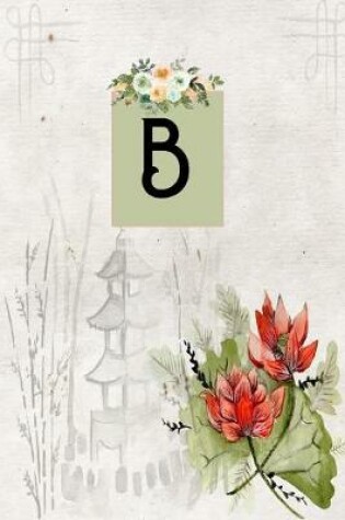 Cover of B