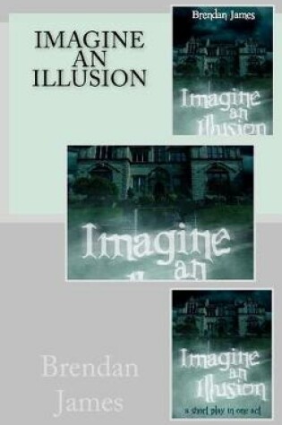 Cover of Imagine An Illusion