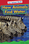 Book cover for How Animals Find Water