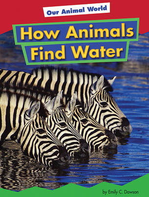 Cover of How Animals Find Water