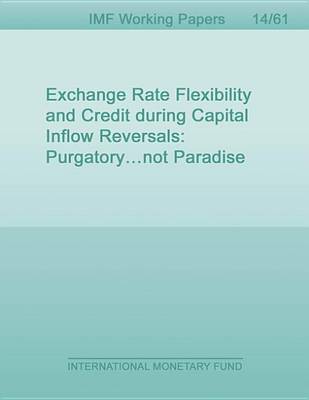 Book cover for Exchange Rate Flexibility and Credit During Capital Inflow Reversals